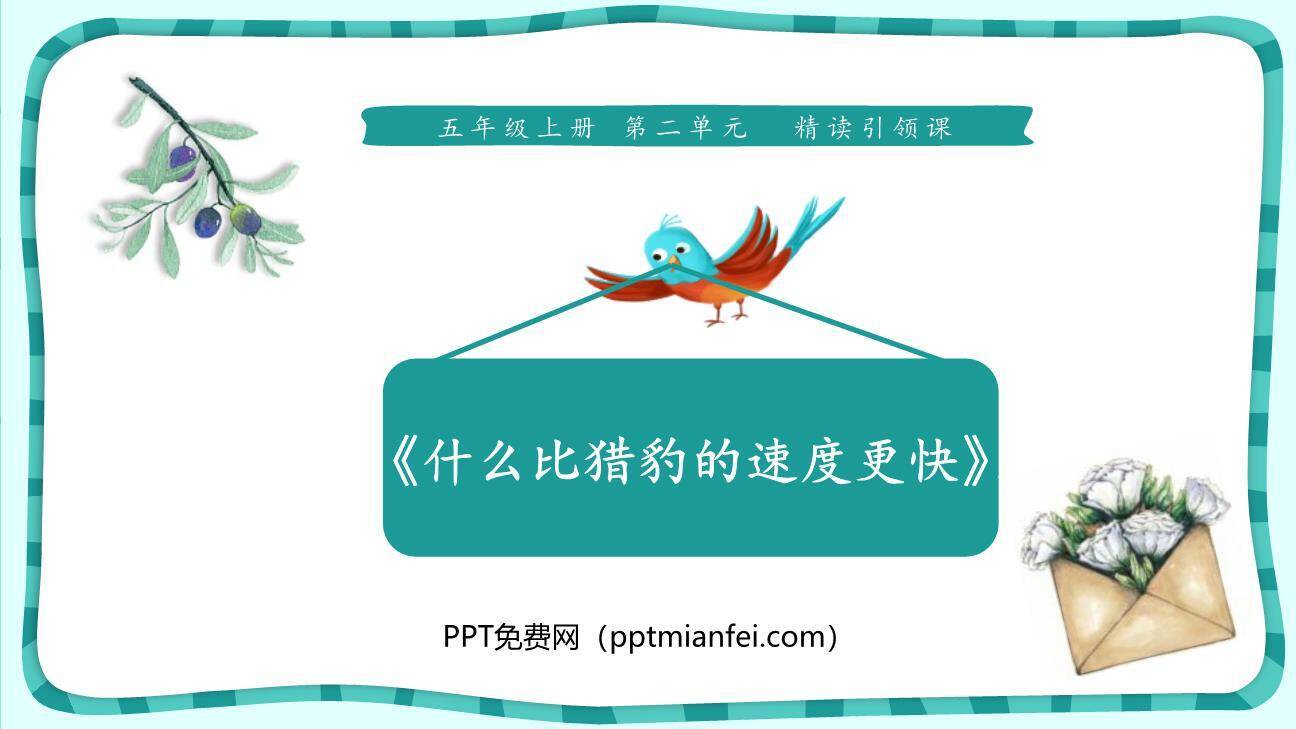 什么比猎豹的速度更快PPT课件40