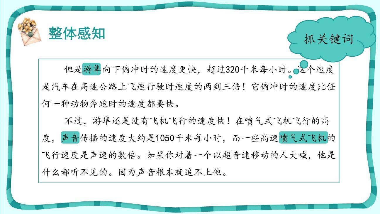 什么比猎豹的速度更快PPT课件41