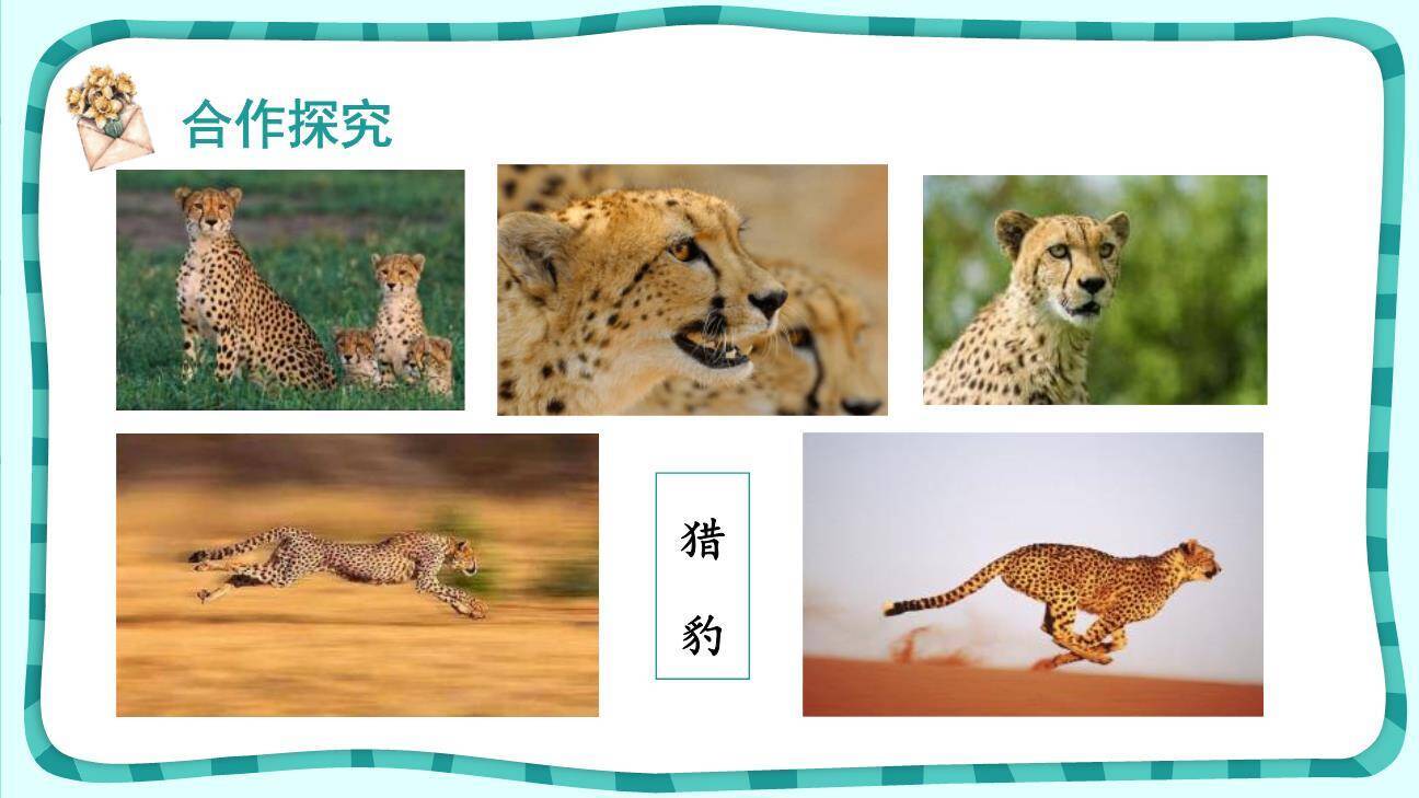 什么比猎豹的速度更快PPT课件45