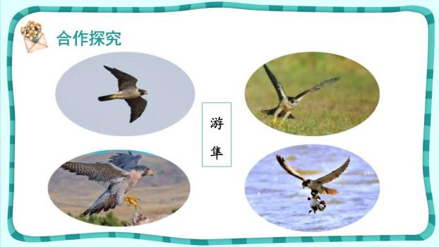 什么比猎豹的速度更快PPT课件46