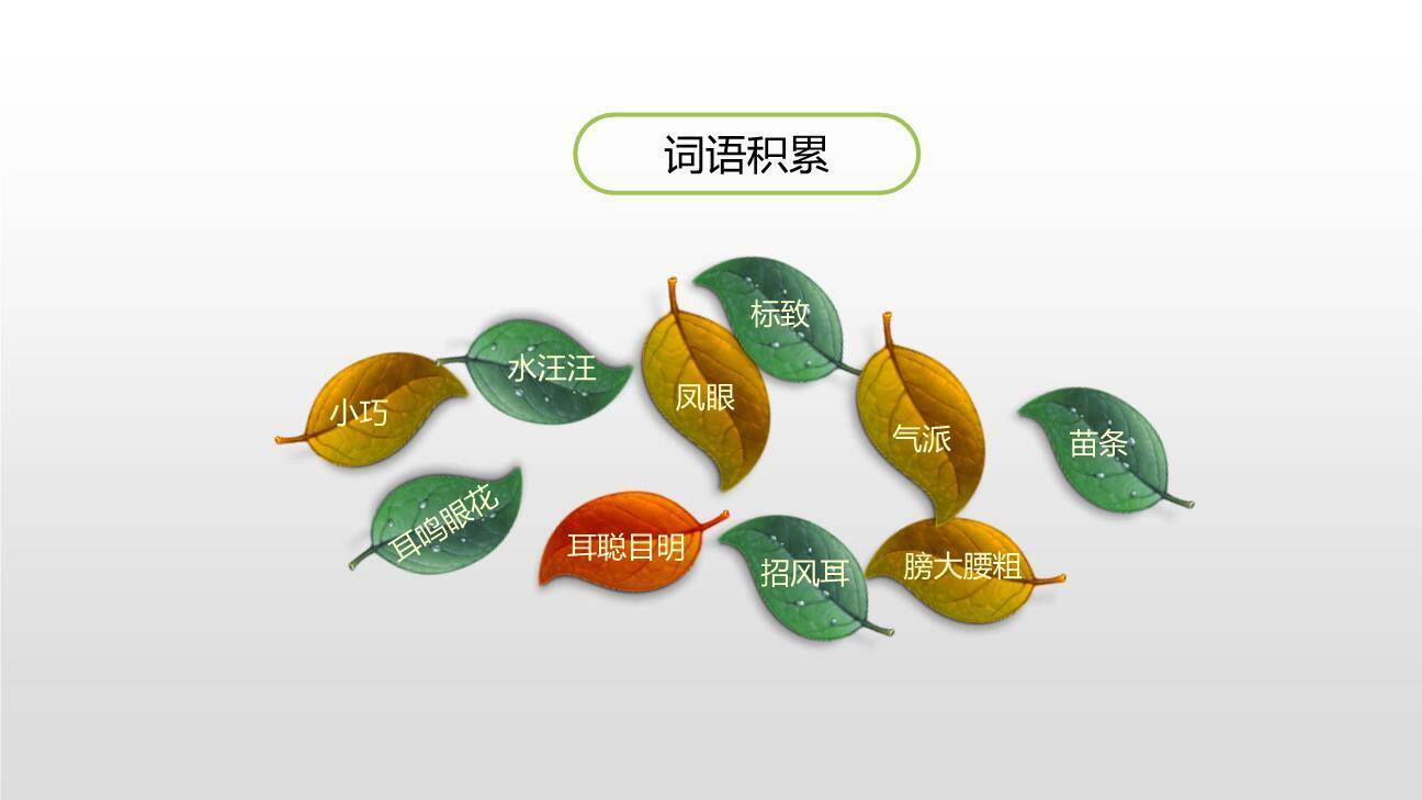 把一个人的特点写具体PPT课件26