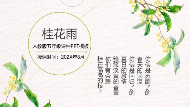 桂花雨PPT课件60