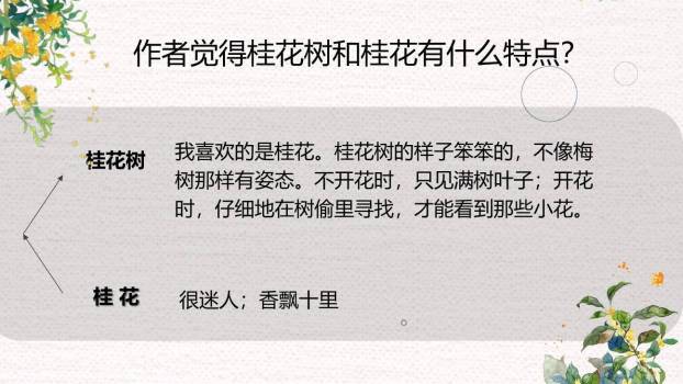 桂花雨PPT课件64