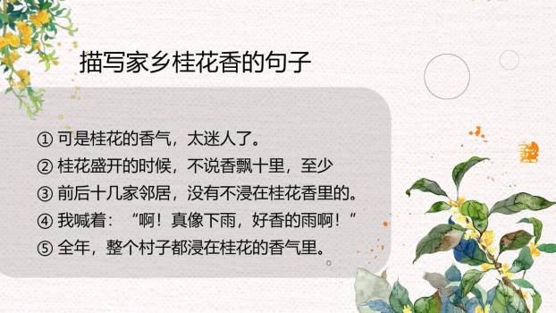 桂花雨PPT课件67