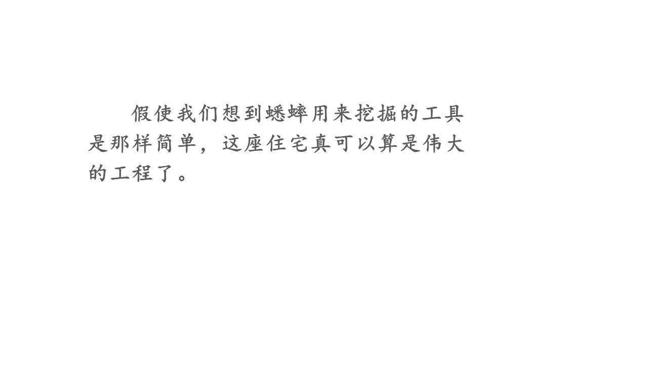 蟋蟀的住宅PPT课件63