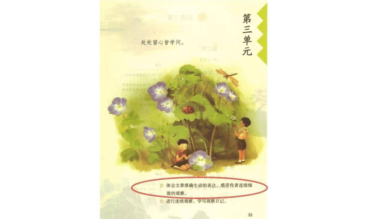 蟋蟀的住宅PPT课件65