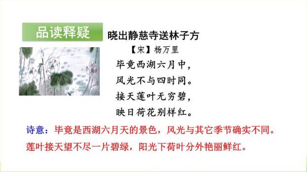 《晓出净慈寺送林子方》古诗二首PPT课件49