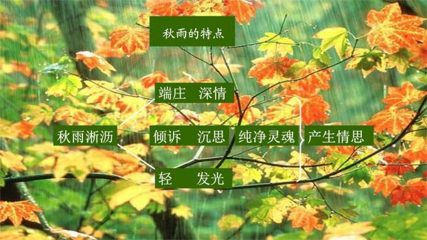 雨的四季PPT课件17