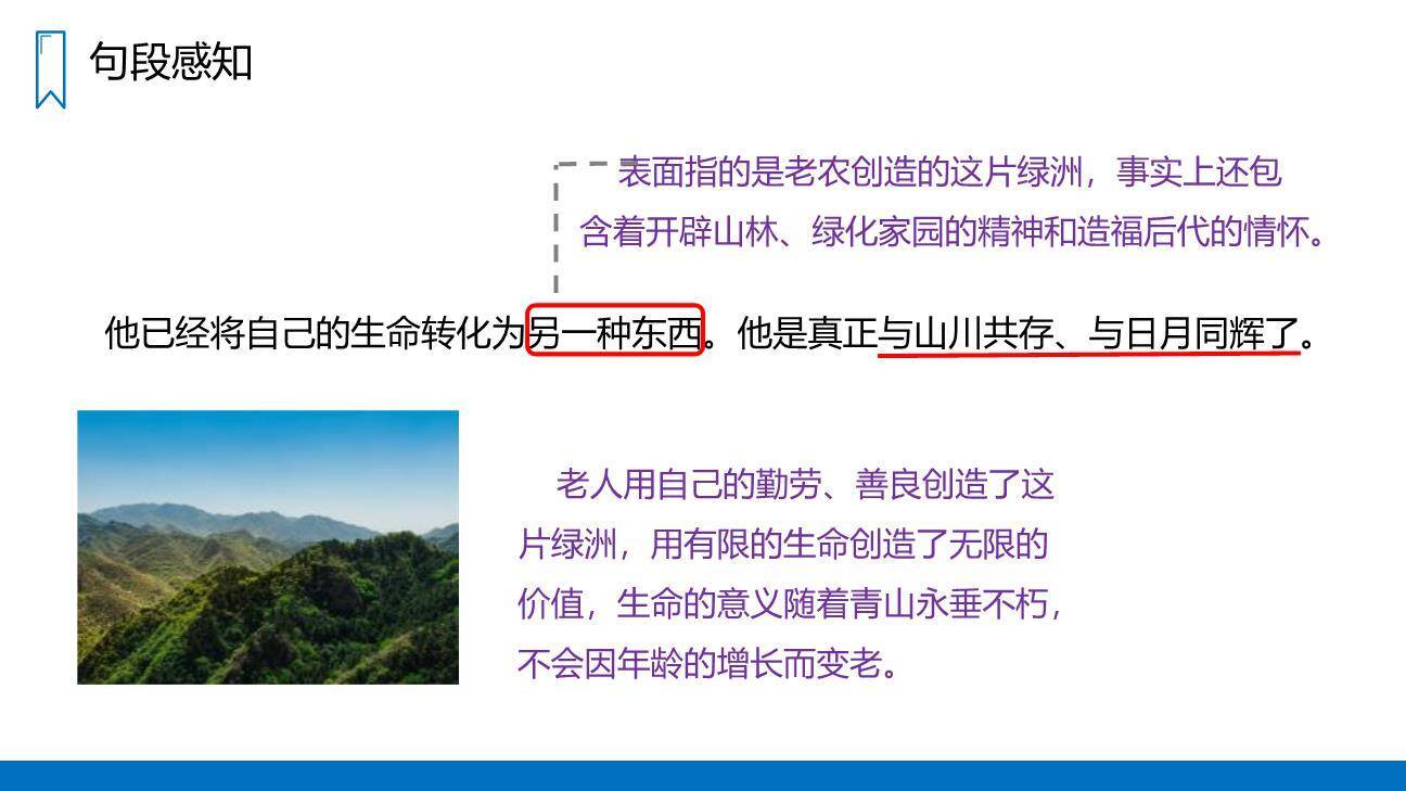 青山不老PPT课件41