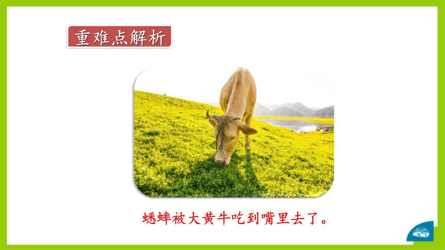 在牛肚子里旅行PPT课件21