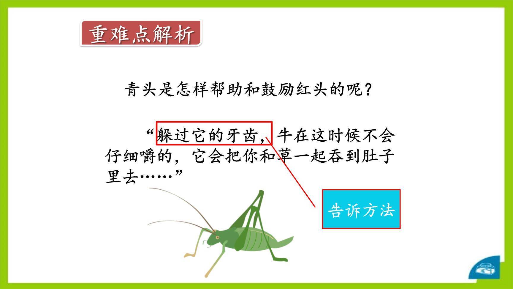 在牛肚子里旅行PPT课件24