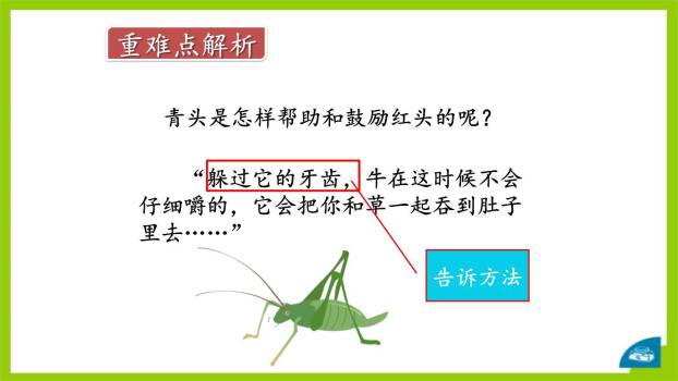 在牛肚子里旅行PPT课件24