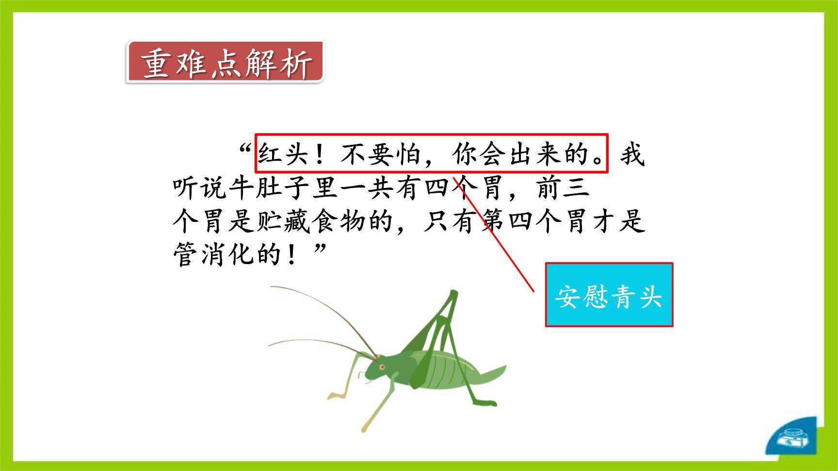 在牛肚子里旅行PPT课件25