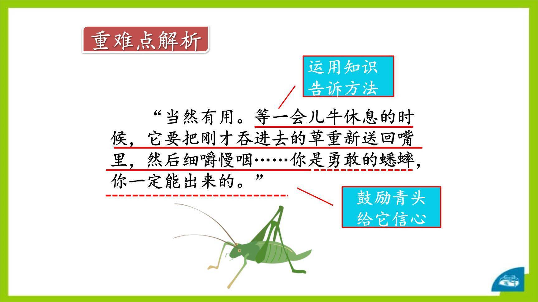 在牛肚子里旅行PPT课件27