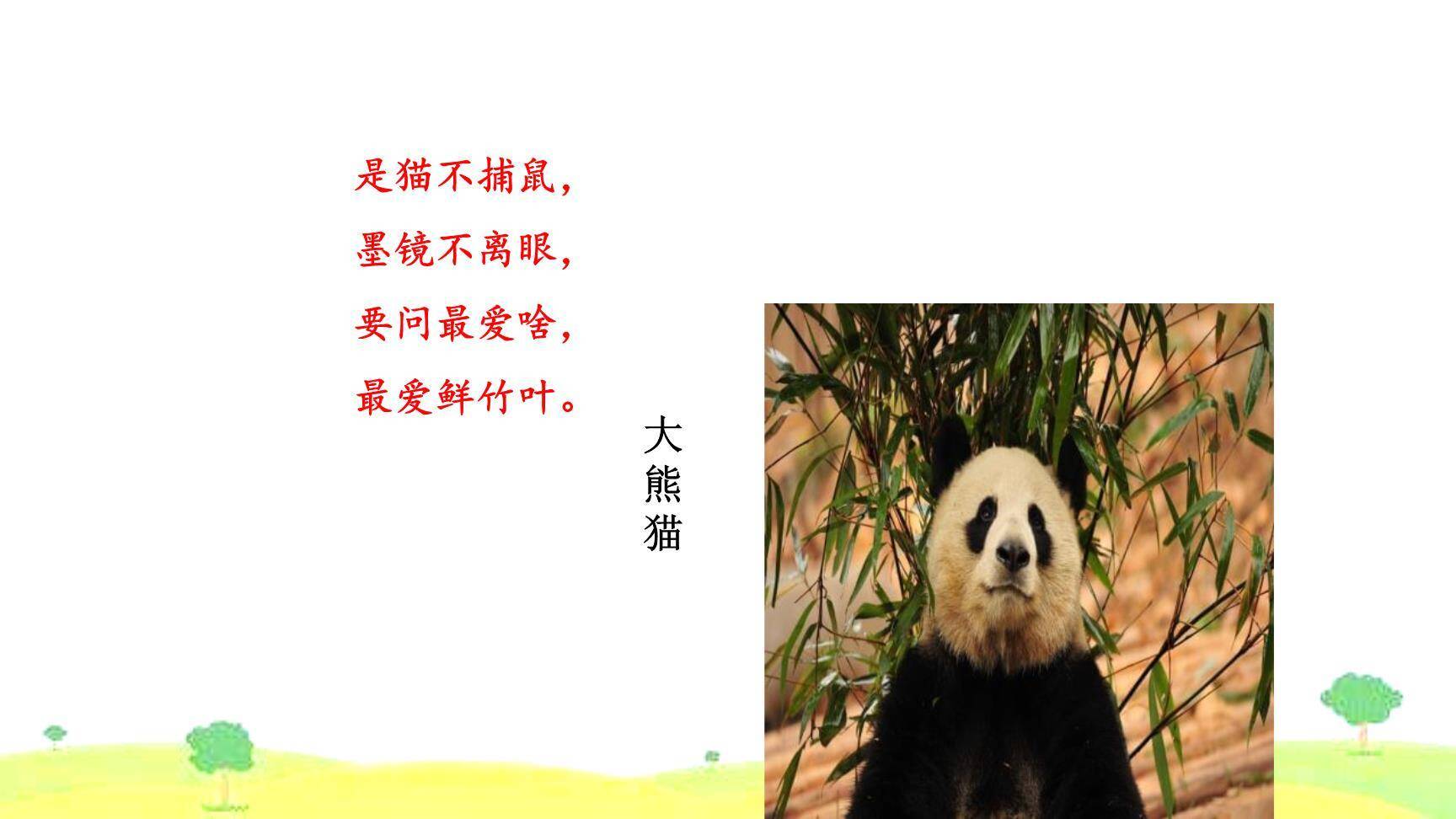 围绕提纲写作文PPT课件12