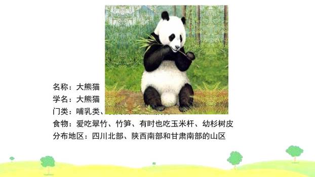 围绕提纲写作文PPT课件15