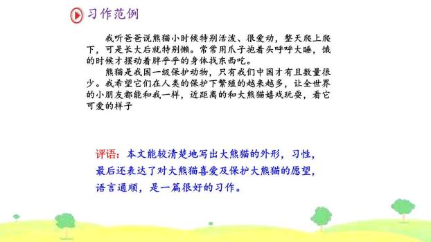 围绕提纲写作文PPT课件17