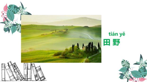 四个太阳PPT课件24