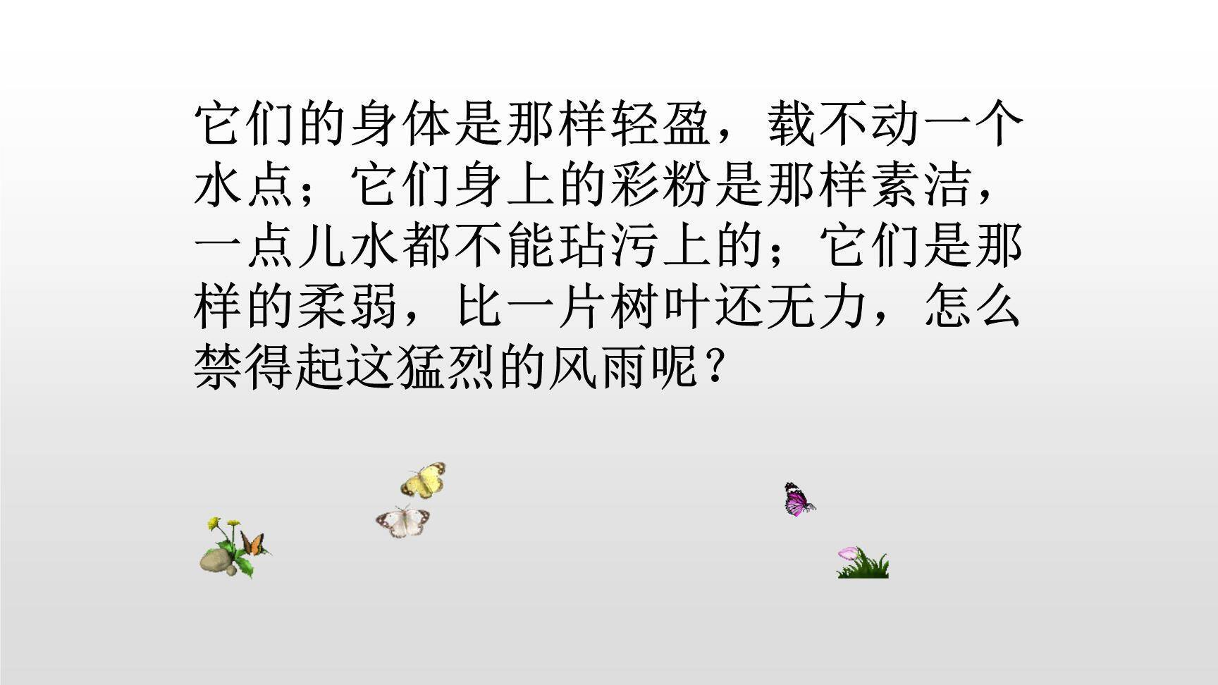 蝴蝶的家PPT课件74