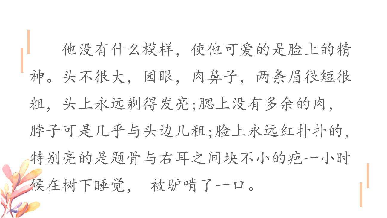 人物描写一组PPT课件87