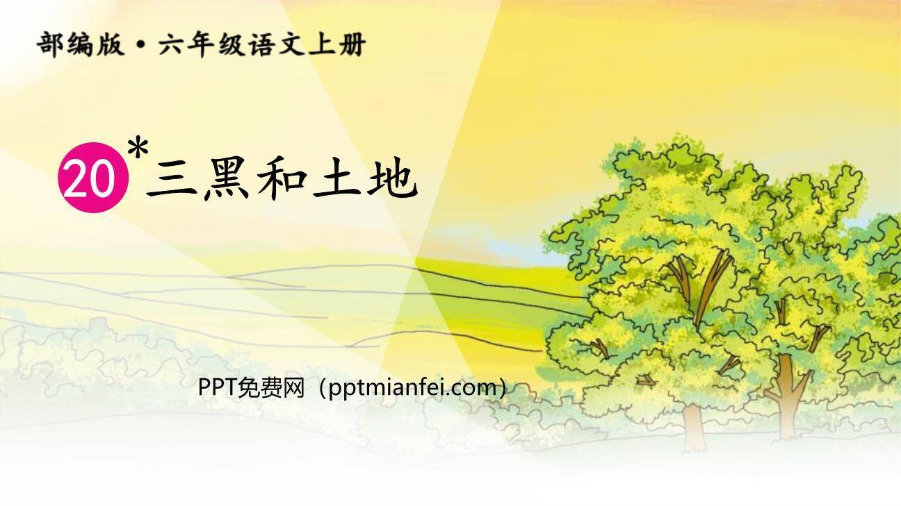 三黑和土地PPT课件70