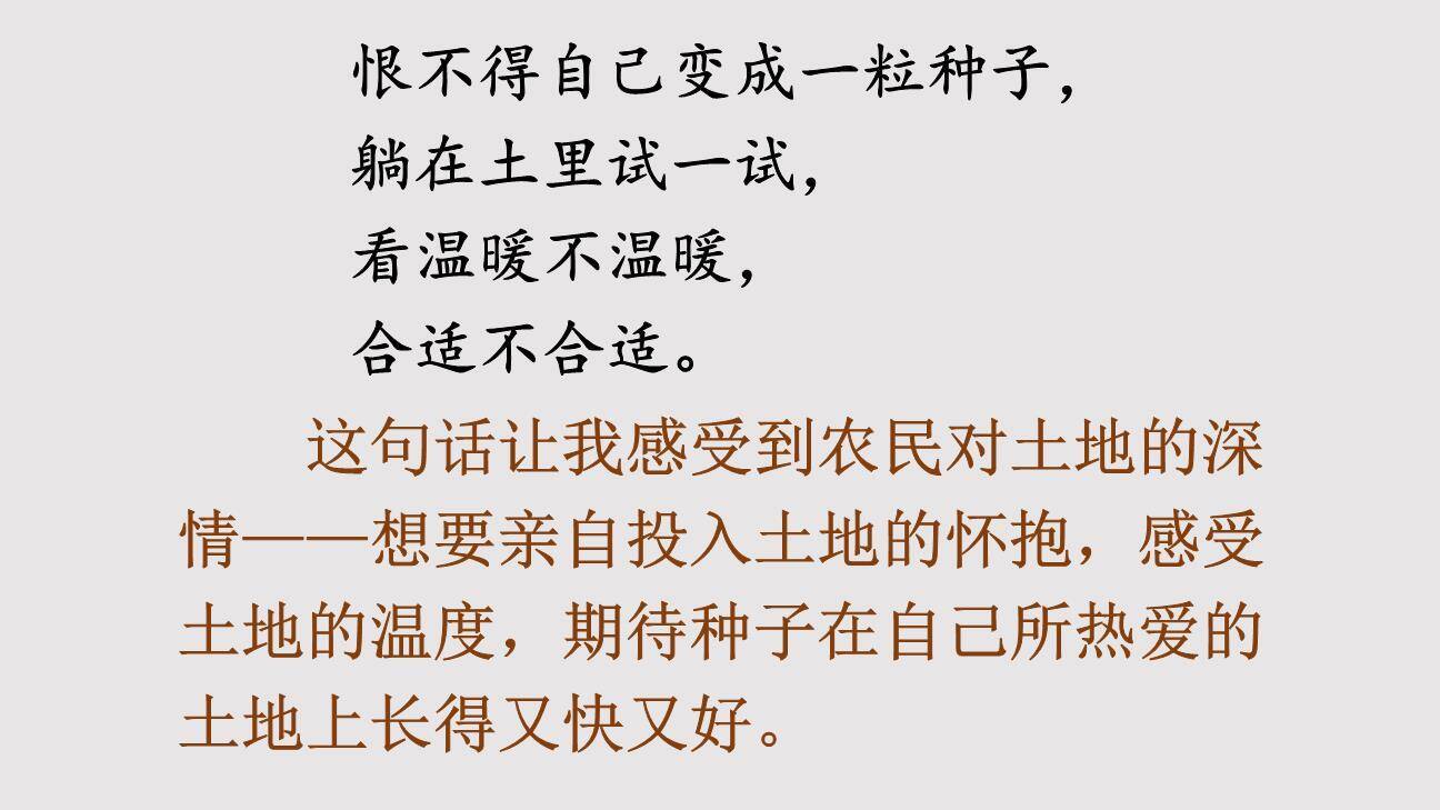 三黑和土地PPT课件71