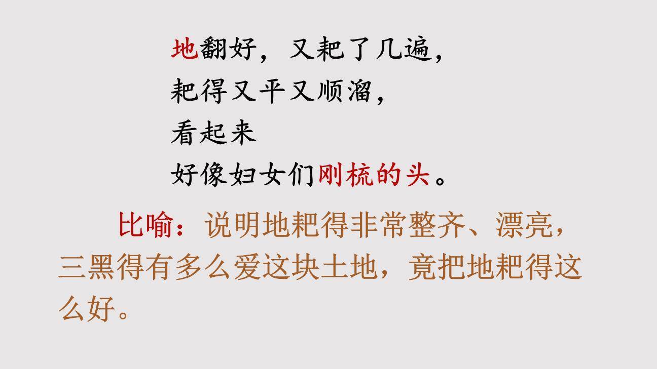 三黑和土地PPT课件74