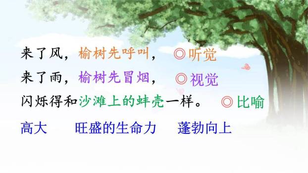 祖父的园子PPT课件69