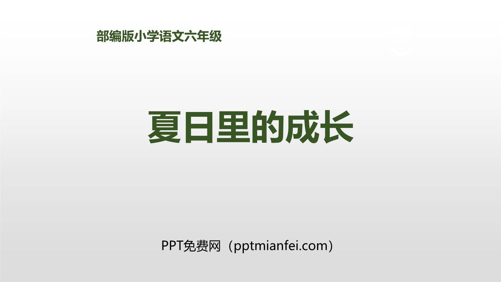 夏天里的成长PPT课件50