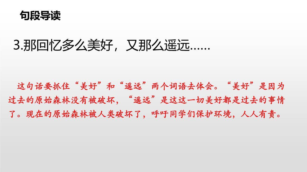 祖先的摇篮PPT课件39