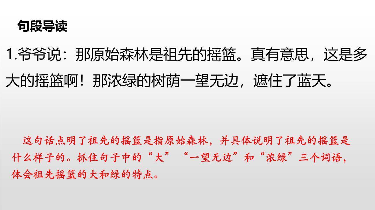 祖先的摇篮PPT课件37