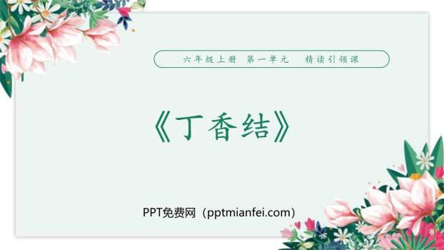丁香结PPT课件40