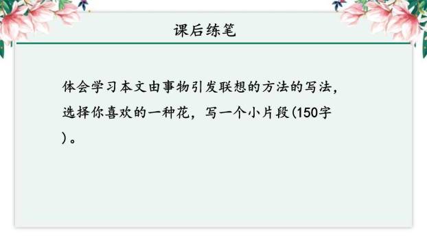 丁香结PPT课件46