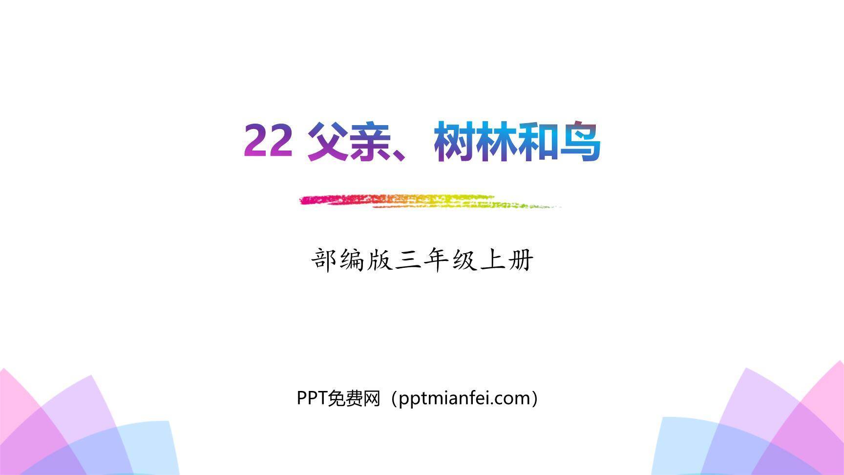 父亲树林和鸟PPT课件20