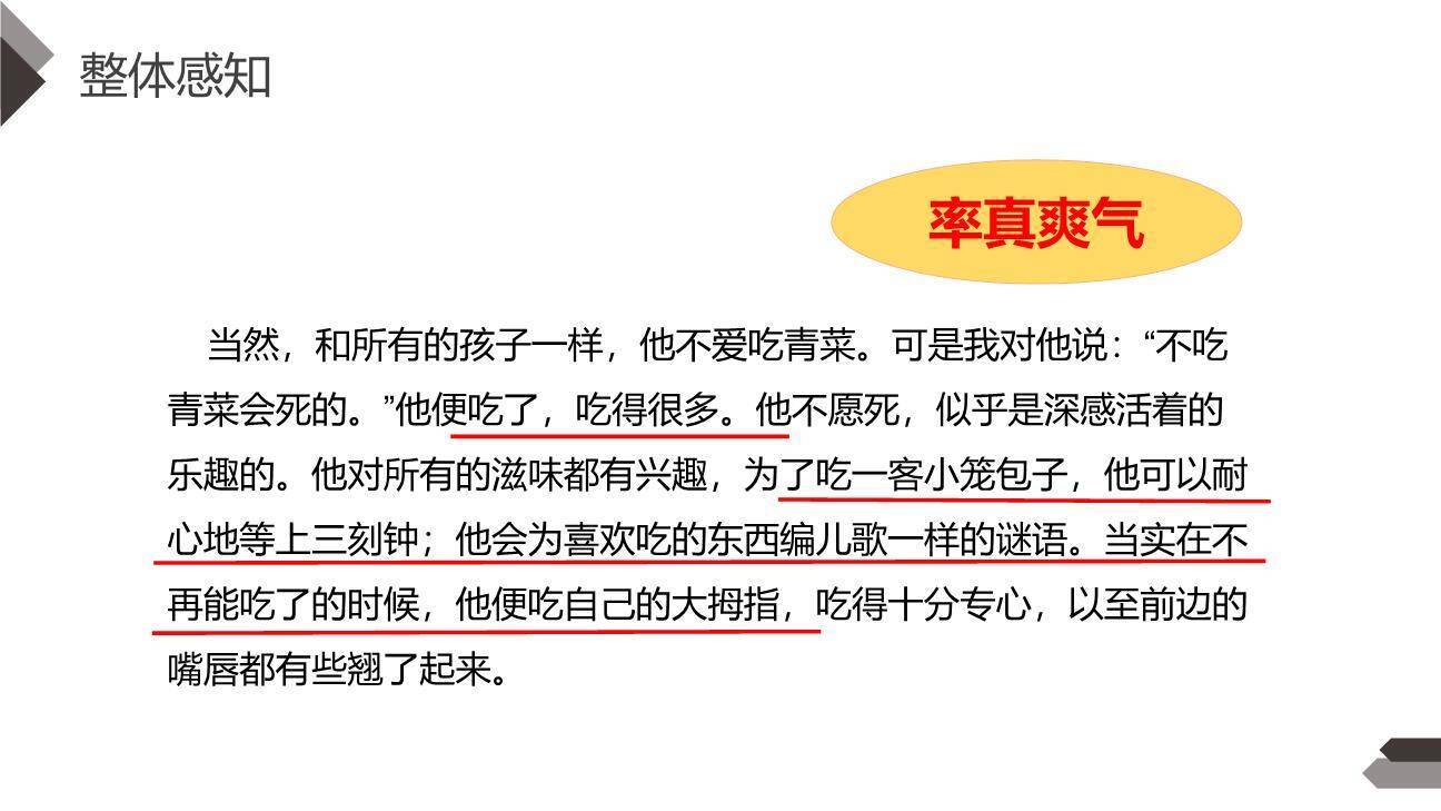 我们家的男子汉PPT课件17