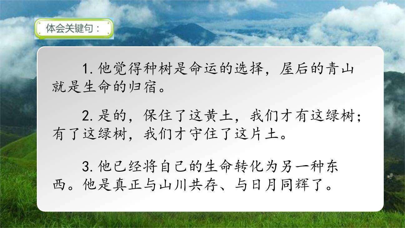 青山不老PPT课件13