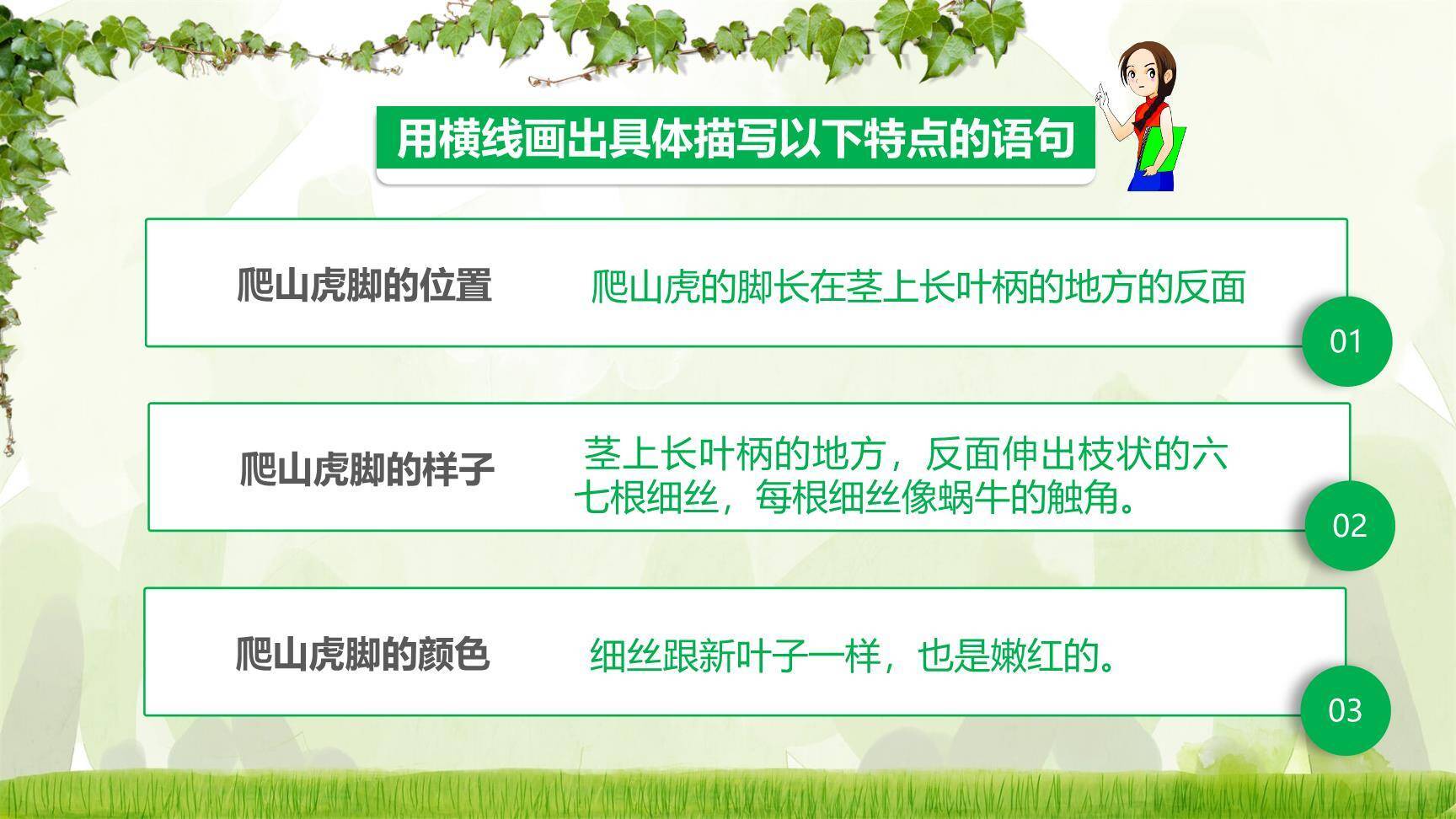 爬山虎的脚PPT课件29