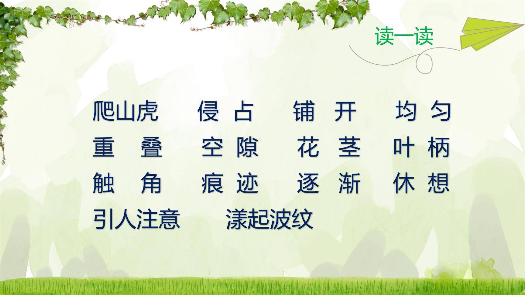 爬山虎的脚PPT课件23