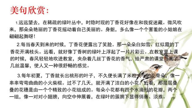 笔尖流出的故事PPT课件15