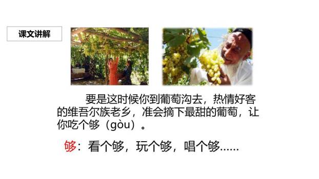 葡萄沟PPT课件68