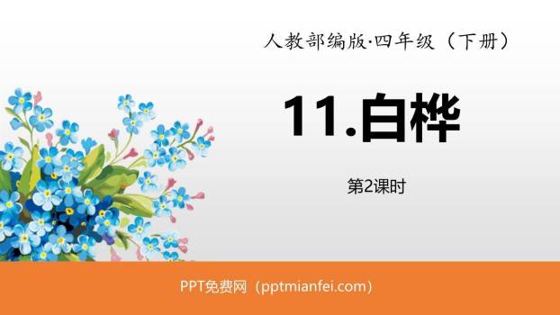 白桦PPT课件50