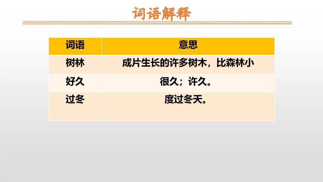 小蜗牛PPT课件62