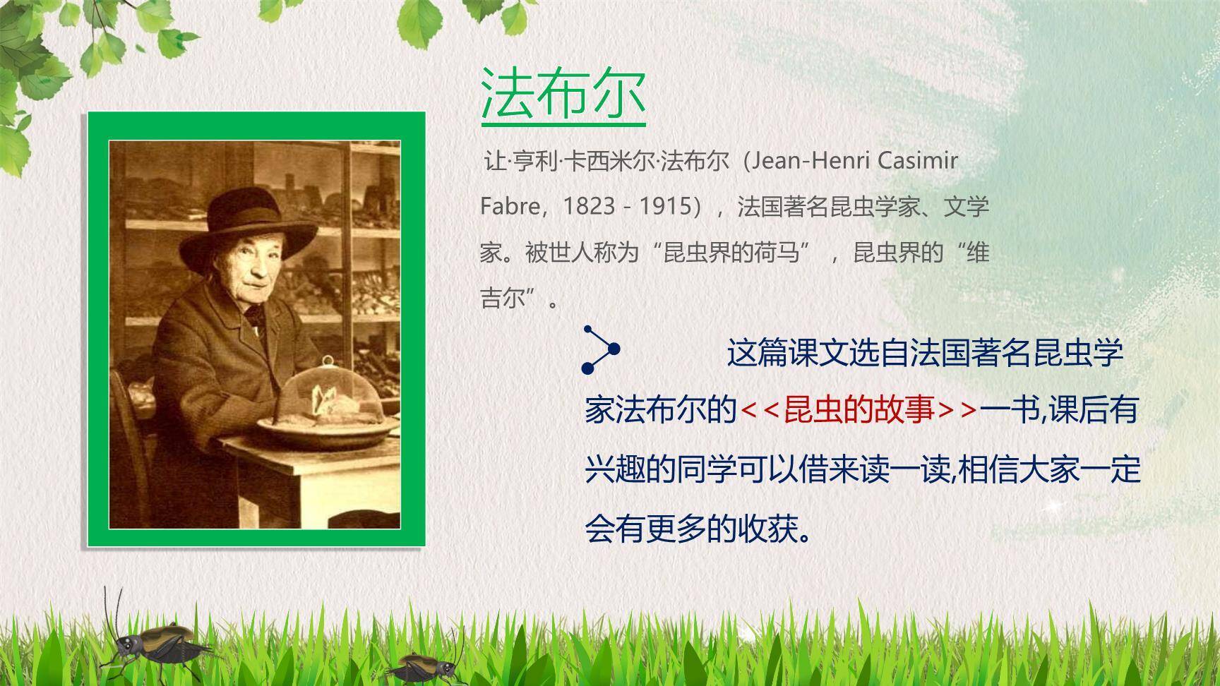 蟋蟀的住宅PPT课件21