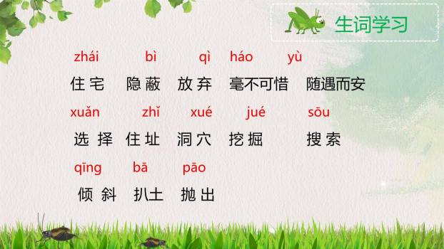 蟋蟀的住宅PPT课件22