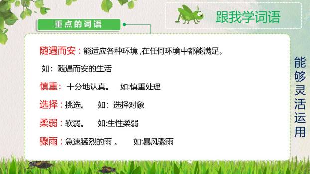 蟋蟀的住宅PPT课件26