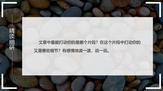 老王PPT课件45