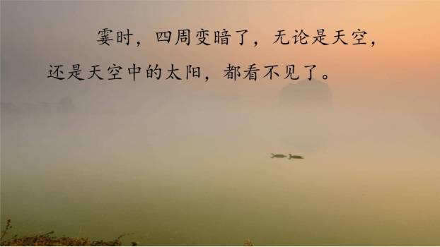 雾在哪里PPT课件88