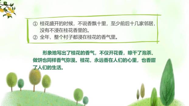 桂花雨PPT课件24
