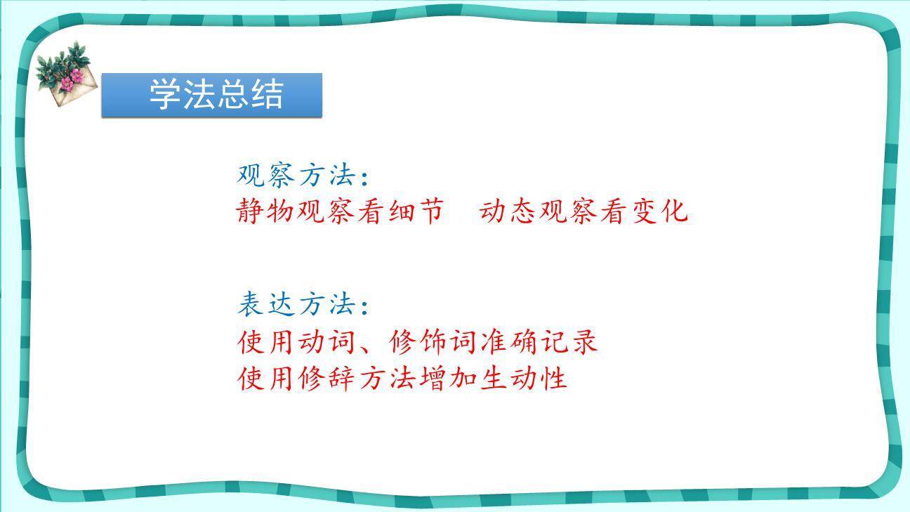 爬山虎的脚PPT课件79