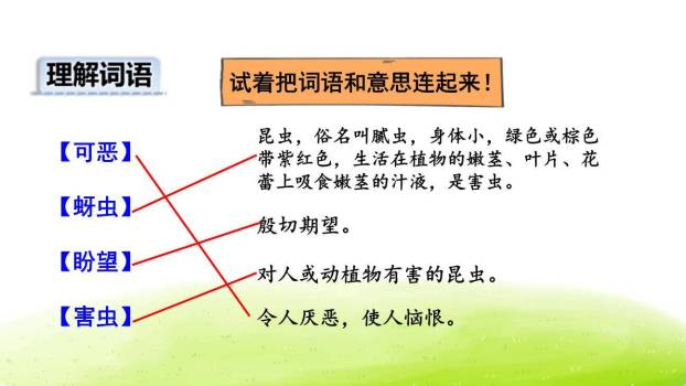 棉花姑娘PPT课件48